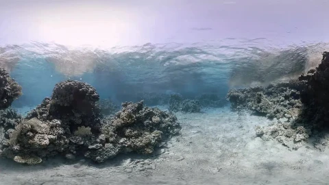 PC Underwater Waves Live Wallpaper - Free Live Wallpaper