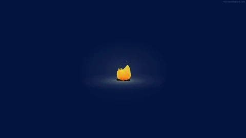 PC Tiny Camp Fire Live Wallpaper - Free Live Wallpaper