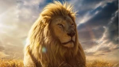 Fondo de Pantalla Animado de León De la Paz 🦁 en Movimiento - Free Live Wallpaper
