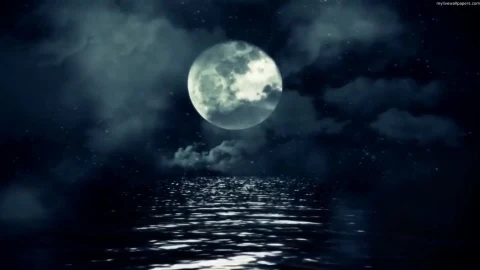 PC Full Moon Ocean 1 Live Wallpaper - Free Live Wallpaper