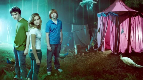 Fondo de Pantalla Animado Harry Ron Hermione de Harry Potter ⚡️ en Movimiento - Free Live Wallpaper