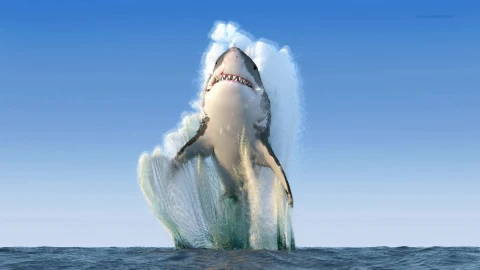 PC Shark Leap Live Wallpaper - Free Live Wallpaper