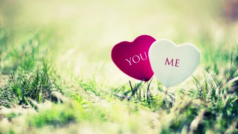 PC Grass Hearts Live Wallpaper - Free Live Wallpaper