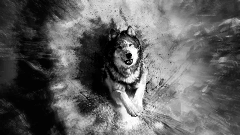 PC Wolf Splatter Live Wallpaper - Free Live Wallpaper