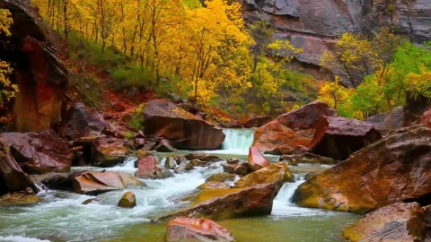 PC River Autumn Live Wallpaper - Free Live Wallpaper