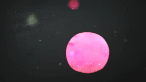 Stock Purehotness Live Wallpaper - Free Live Wallpaper