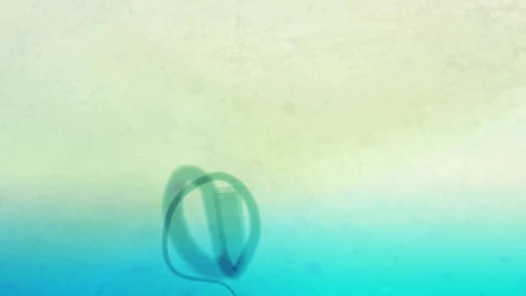 Stock Stringers Loop Live Wallpaper - Free Live Wallpaper