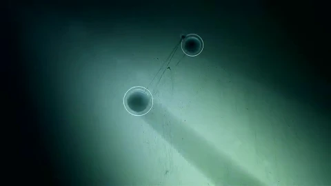 Stock Frankenstyle Live Wallpaper - Free Live Wallpaper