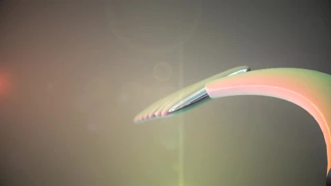 Stock Disc Parade Live Wallpaper - Free Live Wallpaper