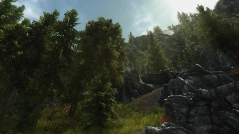 Tranquil Forest Elder Scrolls V Skyrim Live Wallpaper - Free Live Wallpaper