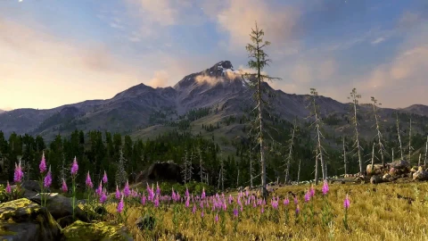 Rocky Mountain High 1080p - Free Live Wallpaper