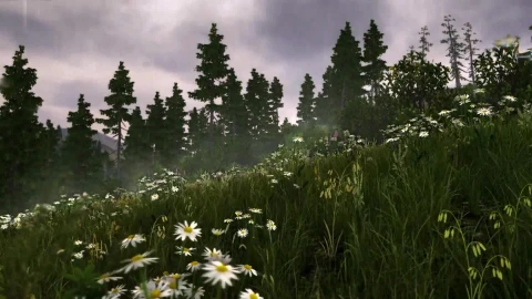 Rain in the Valley 1080p - Free Live Wallpaper