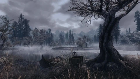 Forest of Ghosts Skyrim SE Live Wallpaper HD - Free Live Wallpaper