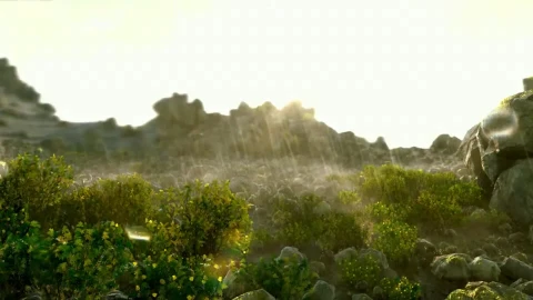Sun Shower Live Wallpaper 1080p - Free Live Wallpaper