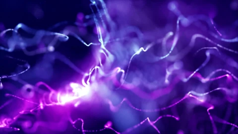 PC Purple Strings Live Wallpaper - Free Live Wallpaper