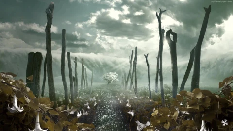 PC Bliss Tree Live Wallpaper - Free Live Wallpaper