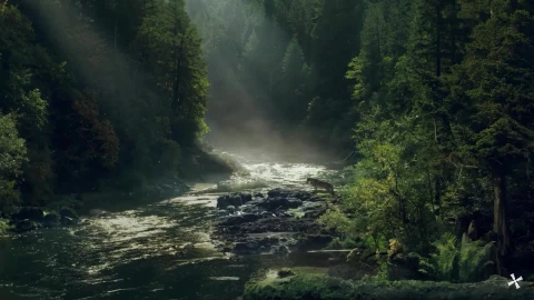 PC Peaceful Stream Live Wallpaper - Free Live Wallpaper