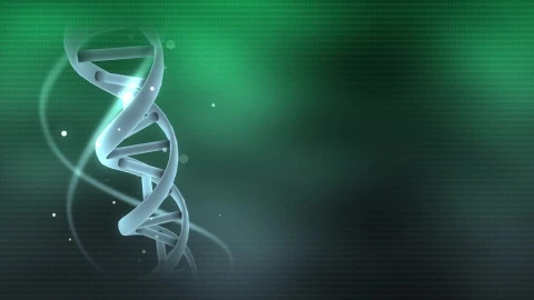 PC DNA Live Wallpaper - Free Live Wallpaper