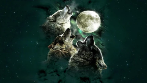 PC Wolves Full Moon Live Wallpaper Free - Free Live Wallpaper