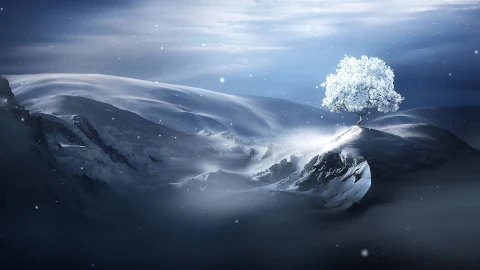 PC Winter Tree Live Wallpaper Free - Free Live Wallpaper