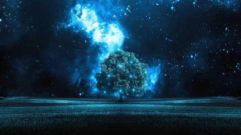 PC Night Stars Tree Live Wallpaper Free - Free Live Wallpaper