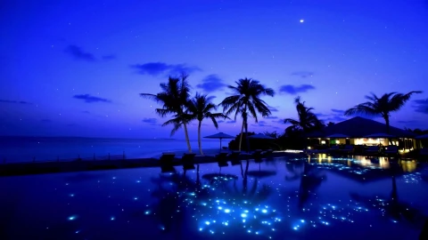 PC Nightfall Tropical Resort Live Wallpaper Free - Free Live Wallpaper