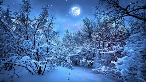 PC Snow Moon Live Wallpaper Free - Free Live Wallpaper
