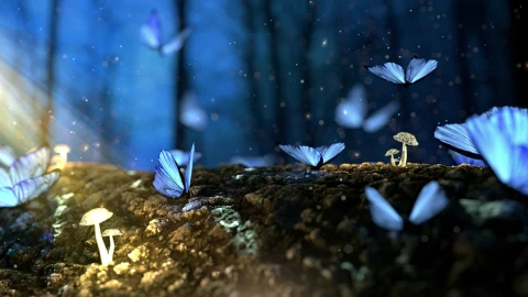 PC Blue Butterflies Live Wallpaper Free - Free Live Wallpaper
