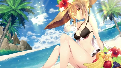 PC Summer Saber FGO Live Wallpaper Free - Free Live Wallpaper