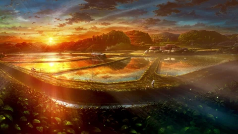 PC Paddy Fields Live Wallpaper Free - Free Live Wallpaper