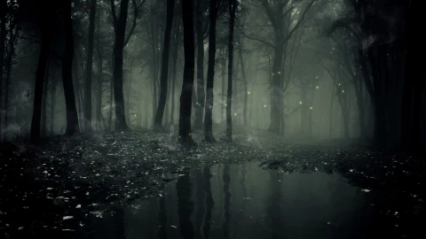 PC Fog Dark Forest Live Wallpaper Free - Free Live Wallpaper