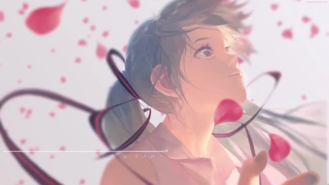 PC Anime Girl Sakura Live Wallpaper Free - Free Live Wallpaper