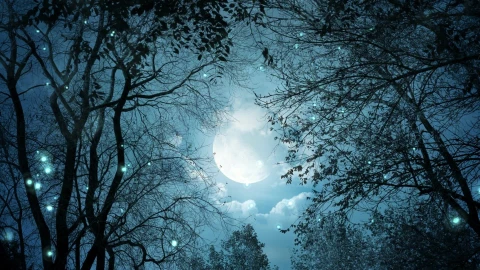 PC Night Moon Live Wallpaper Free - Free Live Wallpaper
