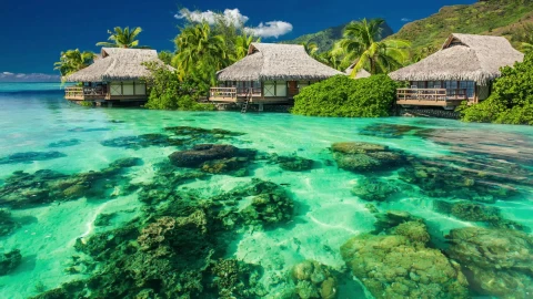 PC Vacation Resort Live Wallpaper Free - Free Live Wallpaper