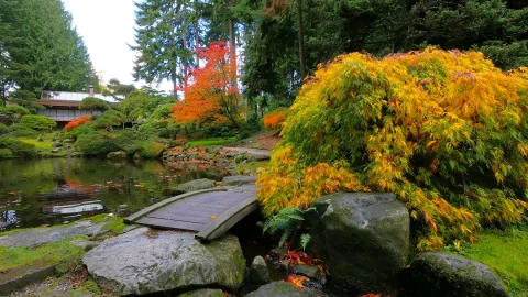 PC Japanese Garden Live Wallpaper Free - Free Live Wallpaper