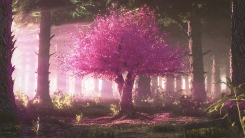 PC Pink Tree Live Wallpaper Free - Free Live Wallpaper