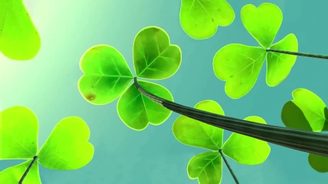 PC Shamrock Live Wallpaper Free - Free Live Wallpaper