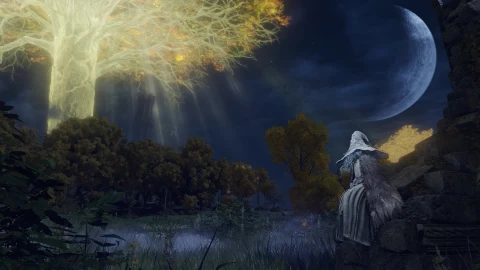 PC Elden Ring Ranni Quest Live Wallpaper Free - Free Live Wallpaper