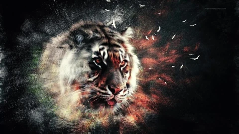 PC Tiger Abstract Edit Live Wallpaper Free - Free Live Wallpaper