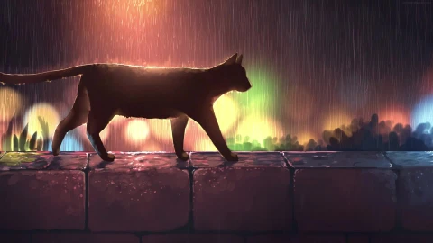PC Black Cat Rain Live Wallpaper Free - Free Live Wallpaper