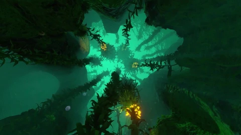 PC Kelp Forest Live Wallpaper Free - Free Live Wallpaper