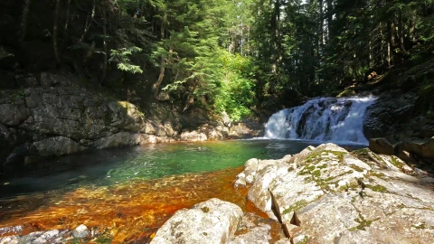 PC Forest Stream Live Wallpaper Free - Free Live Wallpaper