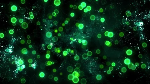 Green Particles And Textures Background Live wallpaper - Free Live Wallpaper