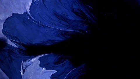 Blue 22908 Original Free Stock Video - Free Live Wallpaper