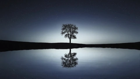 Naturallandscapes 1613 Original Free Stock Video - Free Live Wallpaper