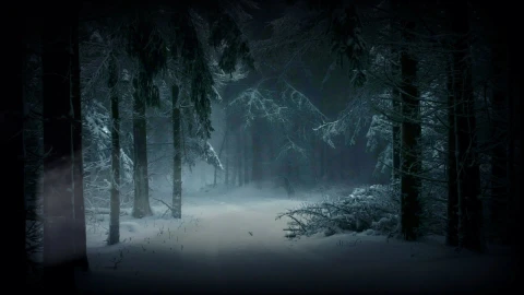 Trees 61992 Original Free Stock Video - Free Live Wallpaper