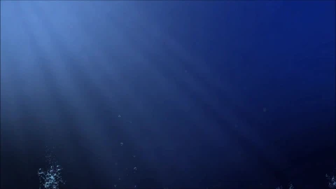 Underwater 37712 Original Free Stock Video - Free Live Wallpaper