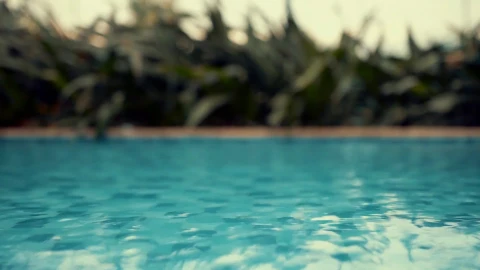 Water 11066 1080p Free Stock Video - Free Live Wallpaper
