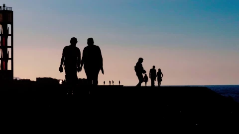 Walk 20454 Original Free Stock Video - Free Live Wallpaper