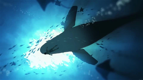 PC Desktop Whale Shadows In The Water 19 Live Wallpaper - Free Live Wallpaper